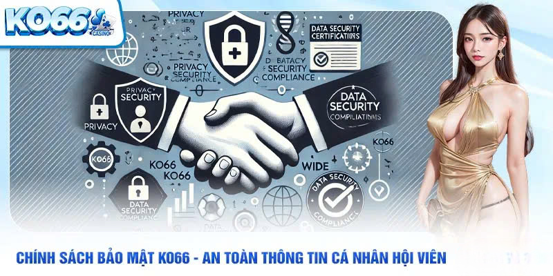 Giới thiệu chính sách bảo mật tại KO66